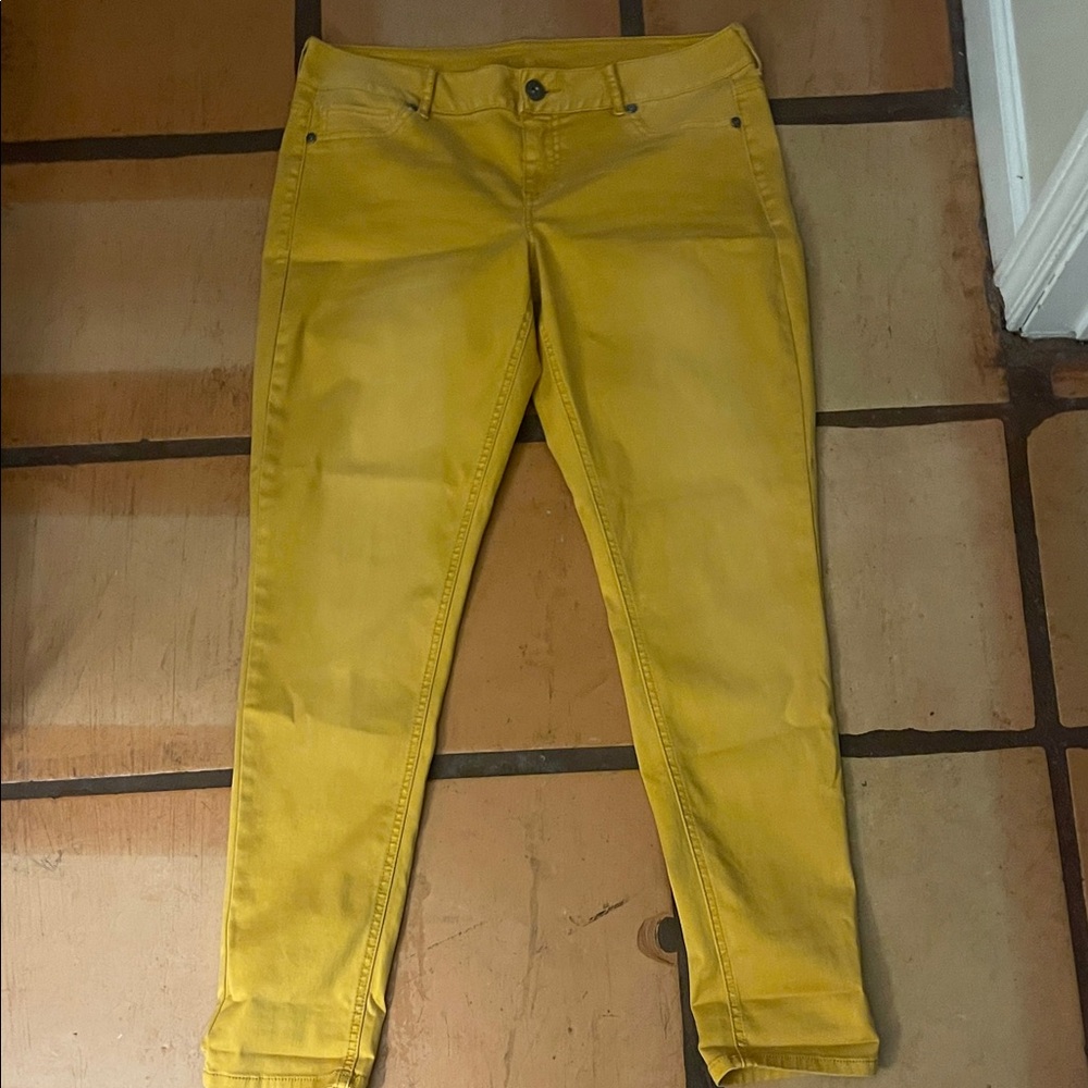 Maurices Mustard Yellow Skinny Jeans- L